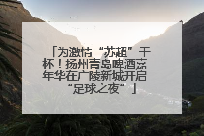 为激情“苏超”干杯！扬州青岛啤酒嘉年华在广陵新城开启“足球之夜”